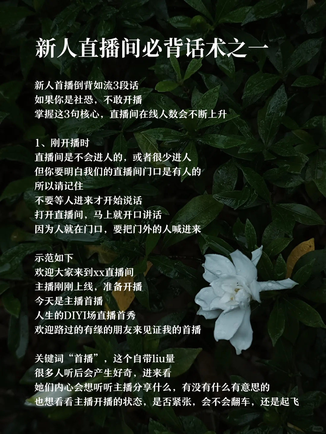 新人博主直播 告别冷场 保姆级必背直播话术