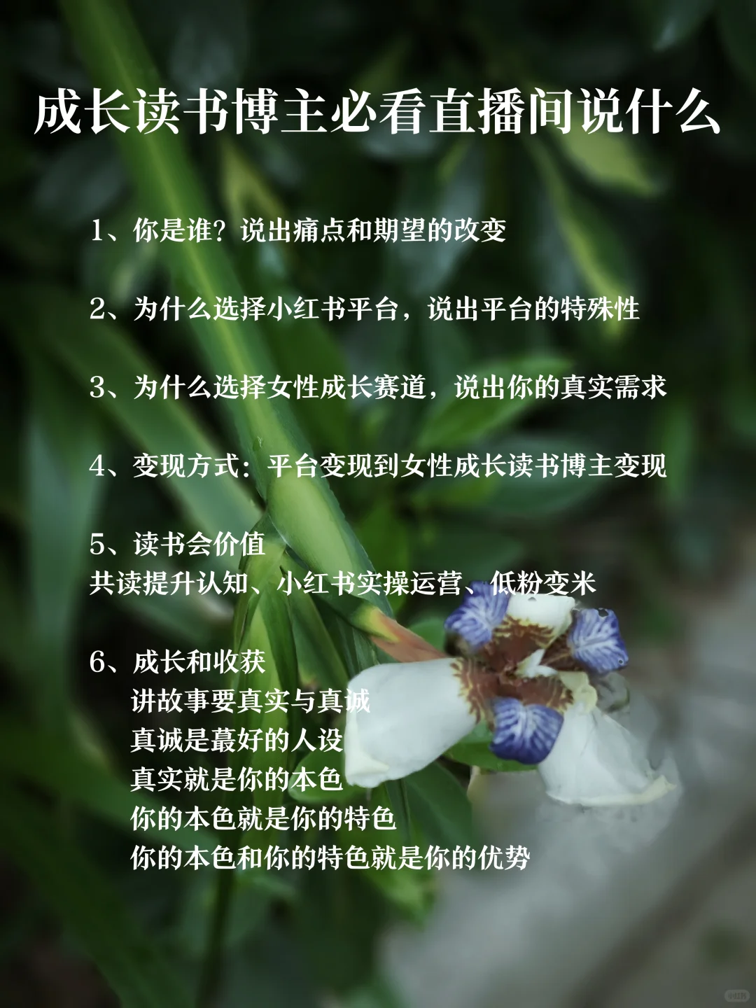 新人博主直播 告别冷场 保姆级必背直播话术