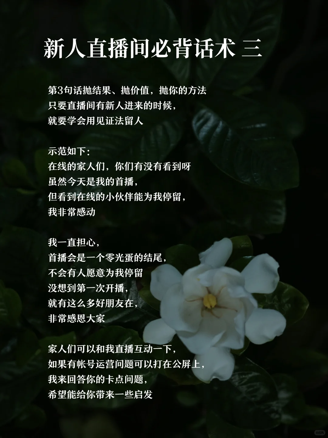 新人博主直播 告别冷场 保姆级必背直播话术