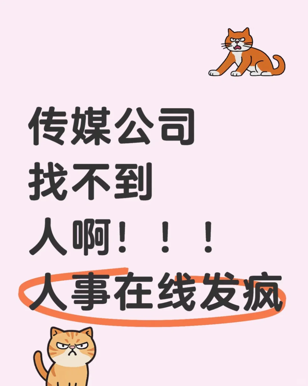 传媒公司之招主播篇
