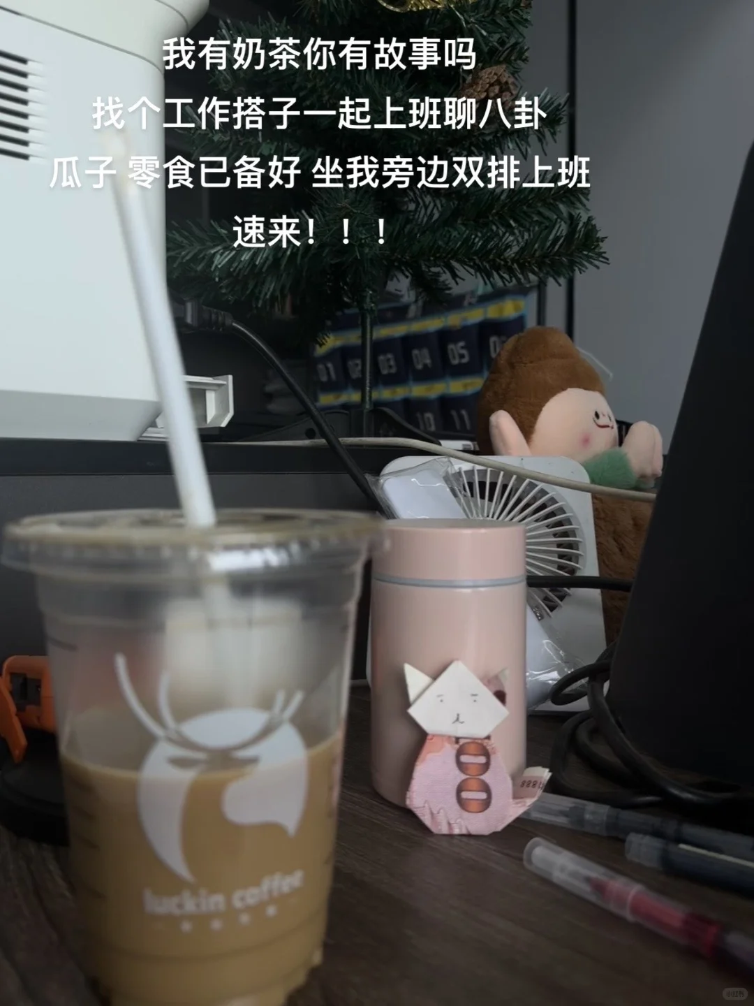 招主播！！！一字招！！！