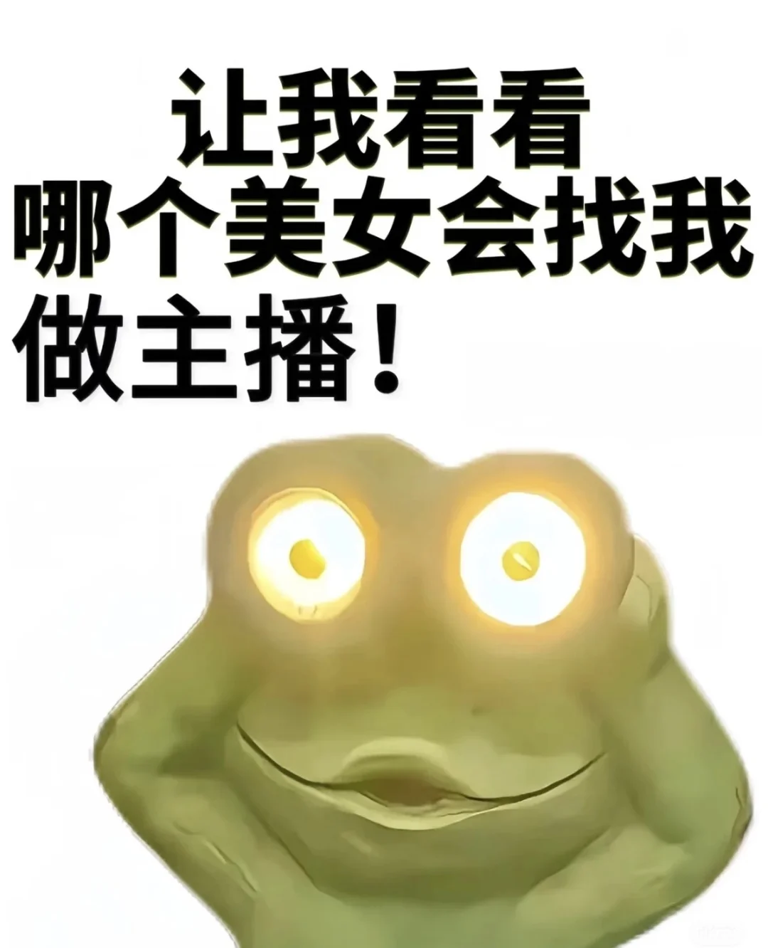 招主播啦!!招主播啦!!!
