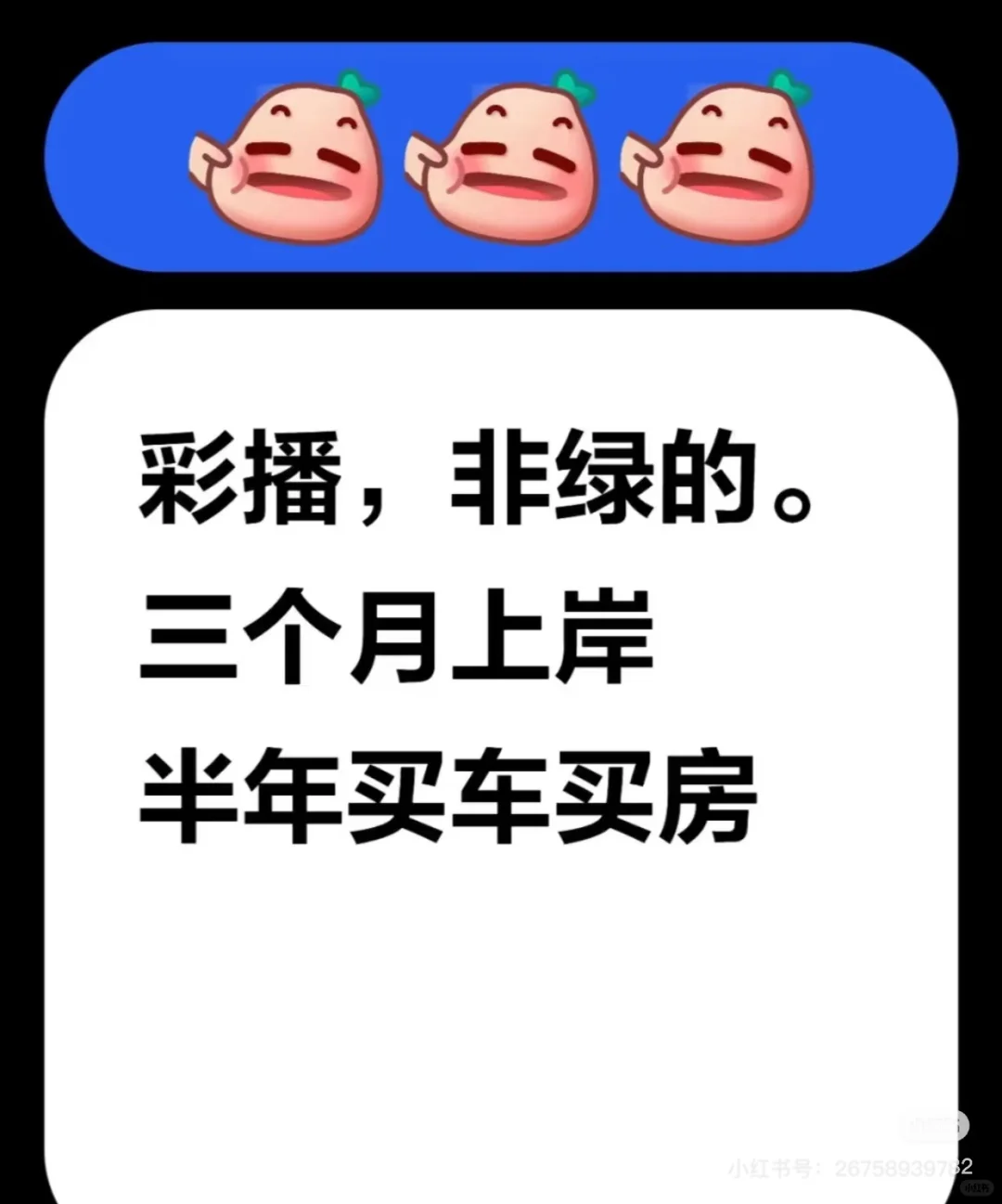 小彩的直播，是真能带。