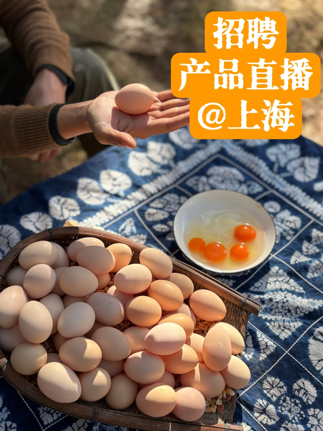 招聘产品直播