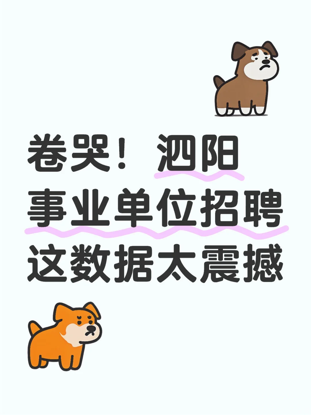 卷哭!泗阳事业单位招聘这数据太震撼