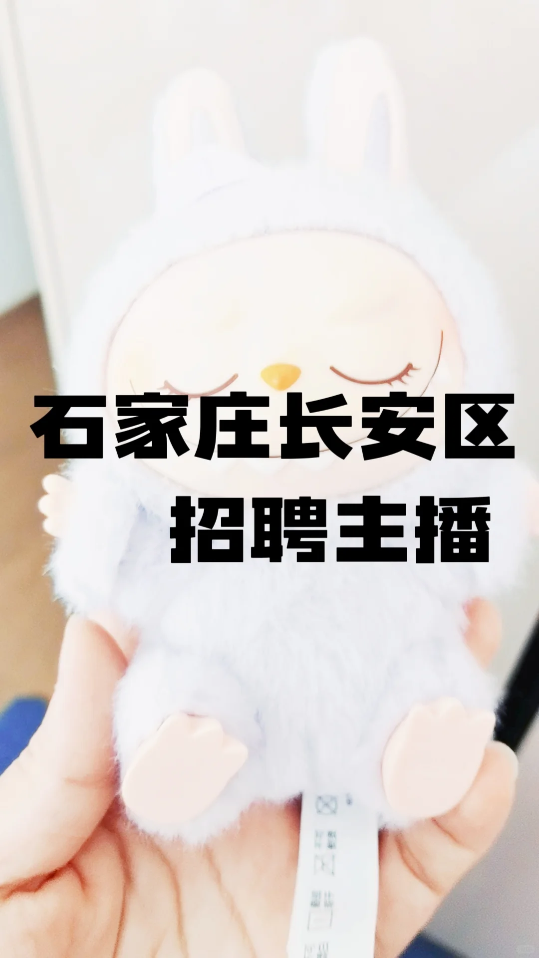 石家庄就没有带货能力强又有颜值的主播吗