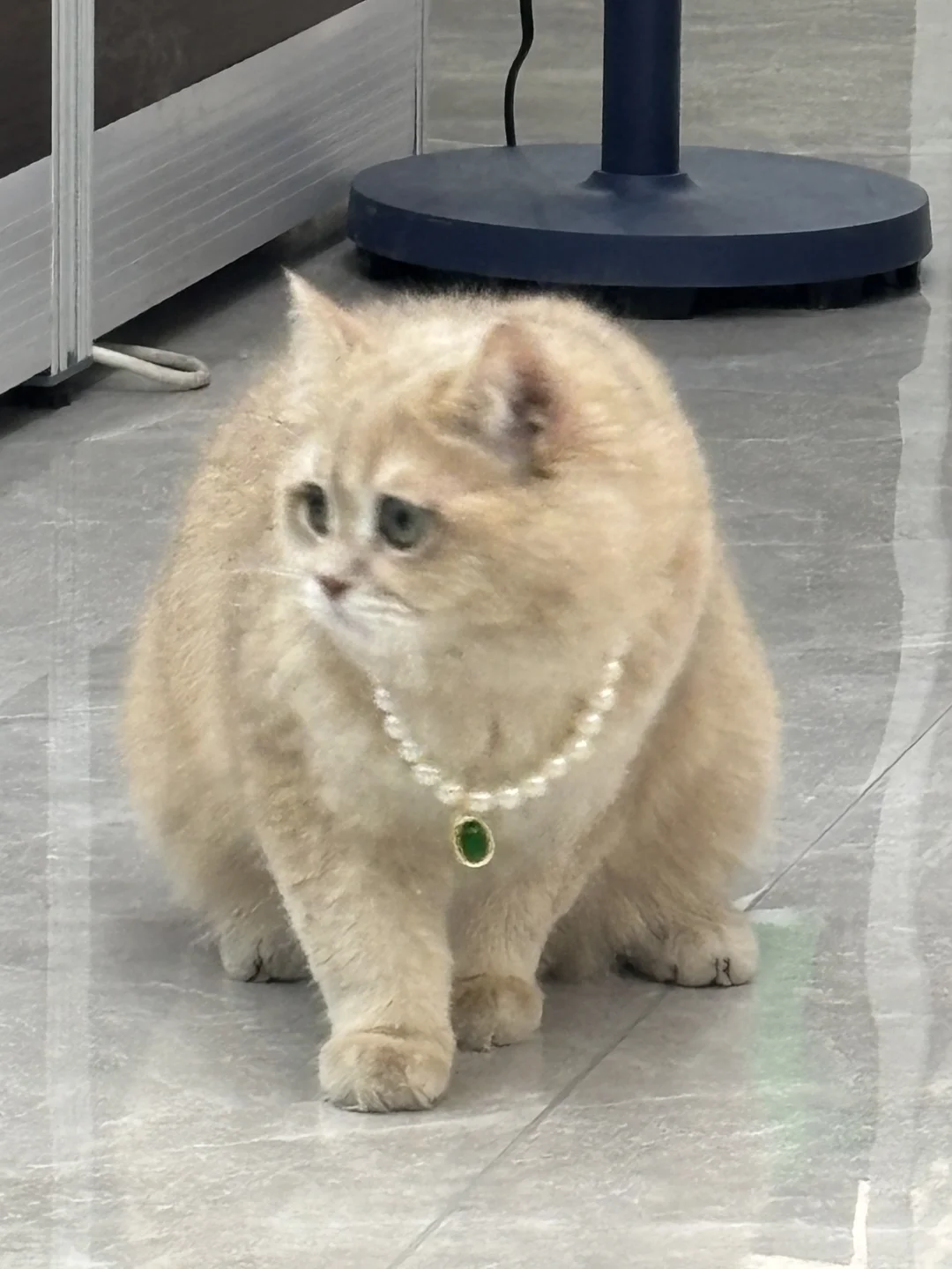 惠济区招聘小红书运营