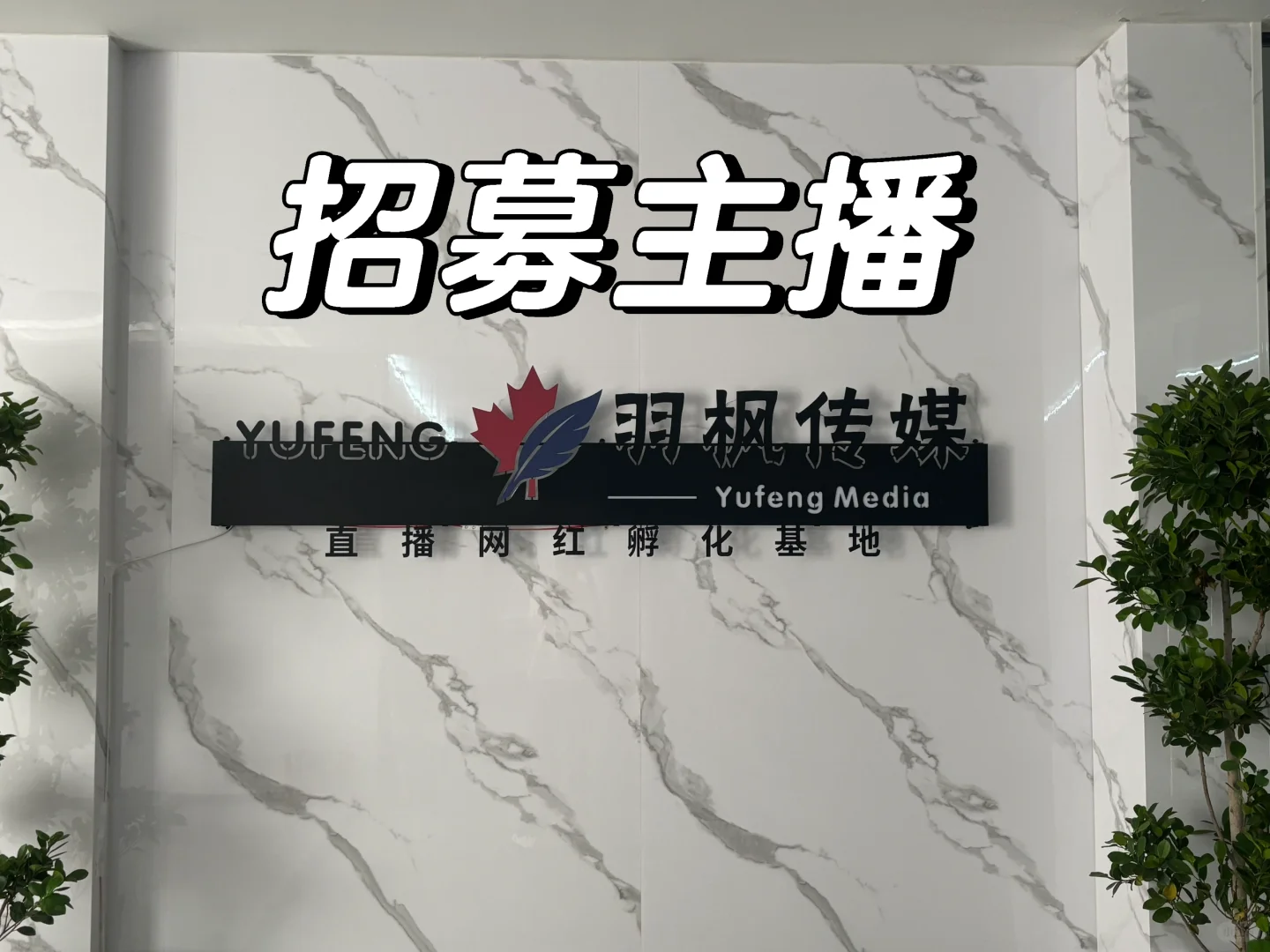 招募主播啦???