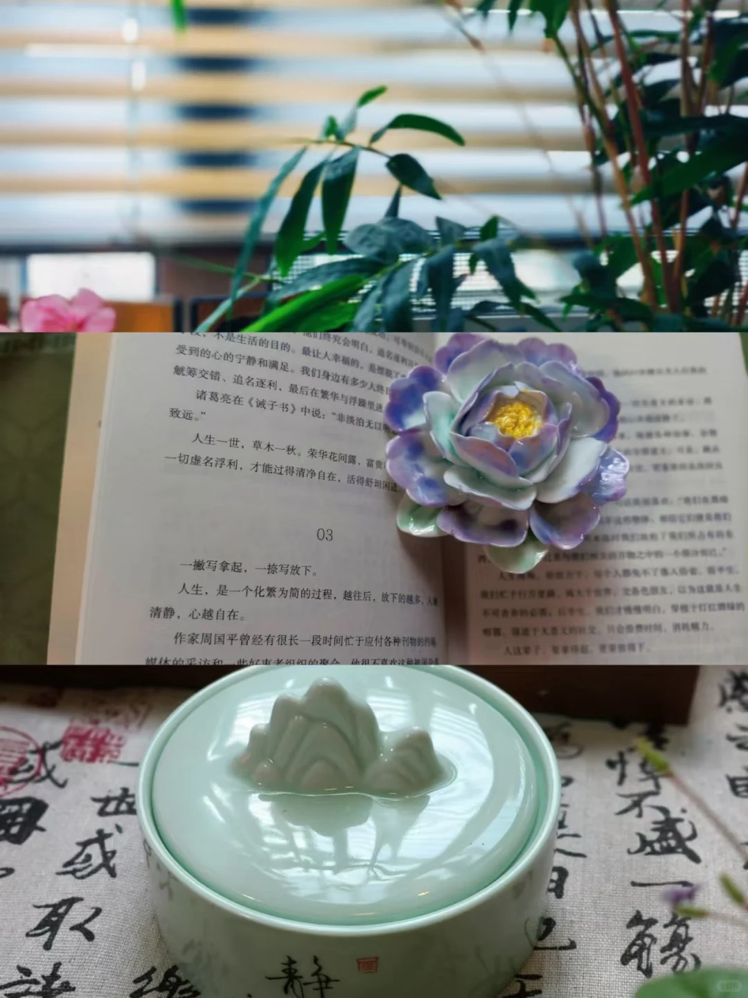新人首播我踩过的坑,劝你别再犯?