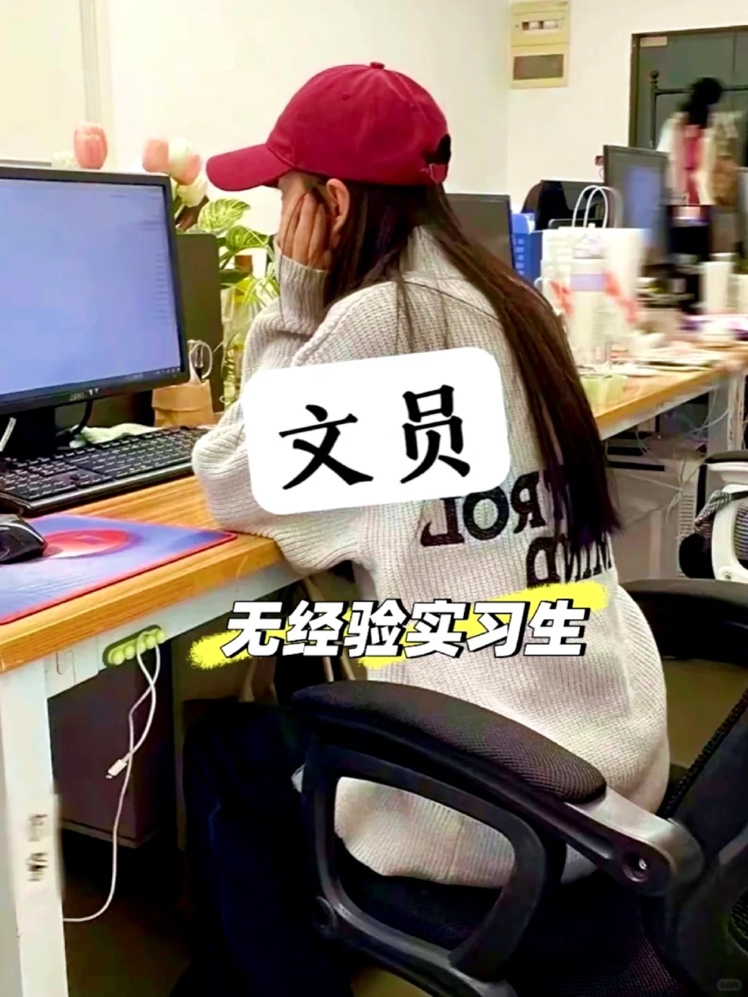 文员 文员