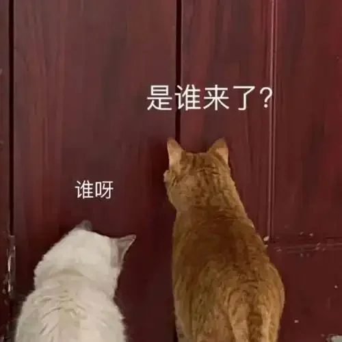 中国十九冶集团丨深圳 法务专员 (校招)