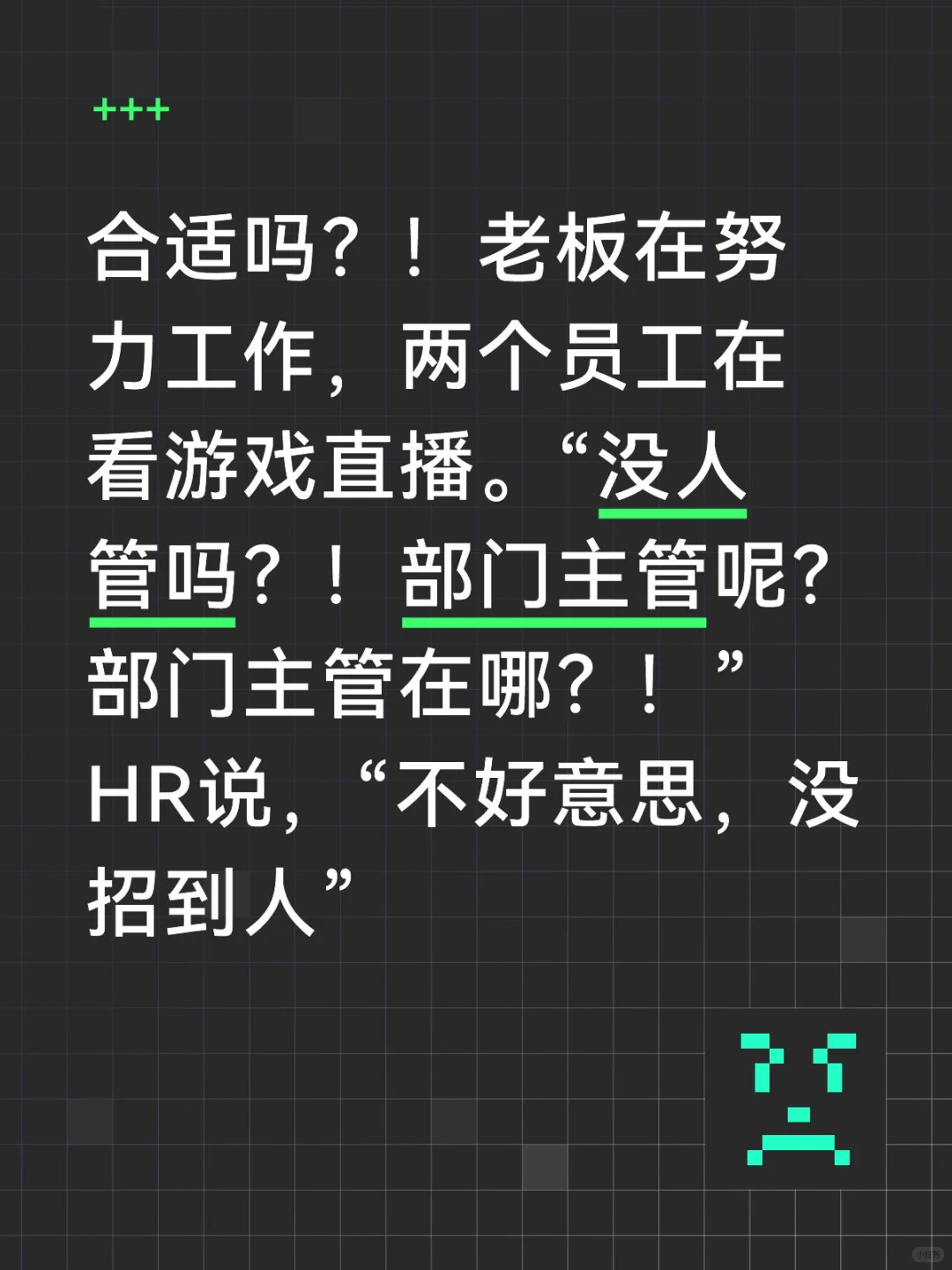 招聘新媒体运营、直播
