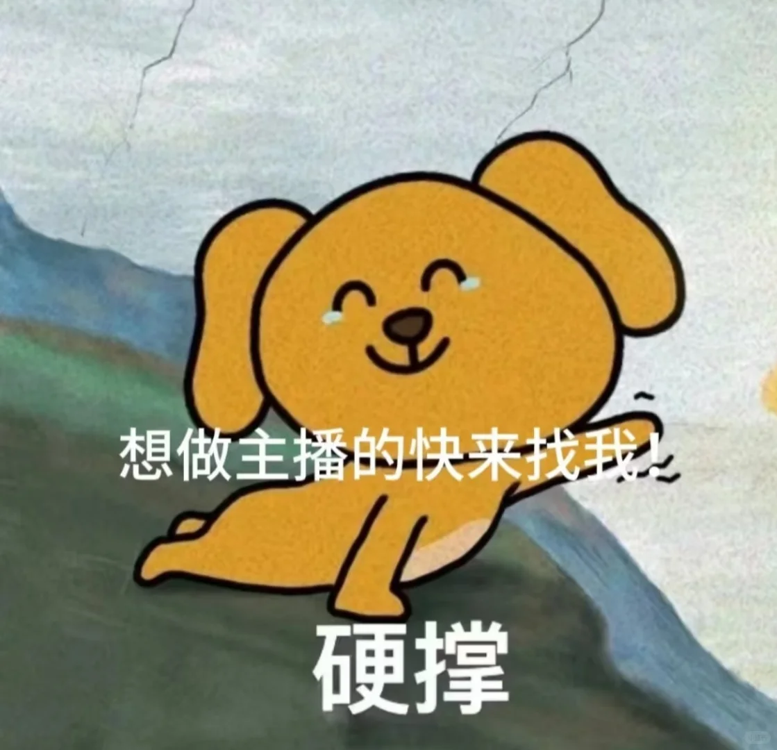 真的不瞅一眼嘛?