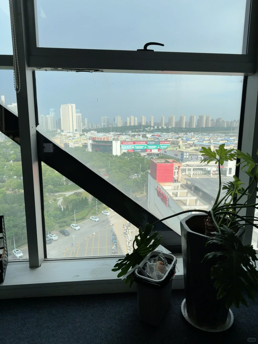 招聘新媒体运营（直播销售）行业正规