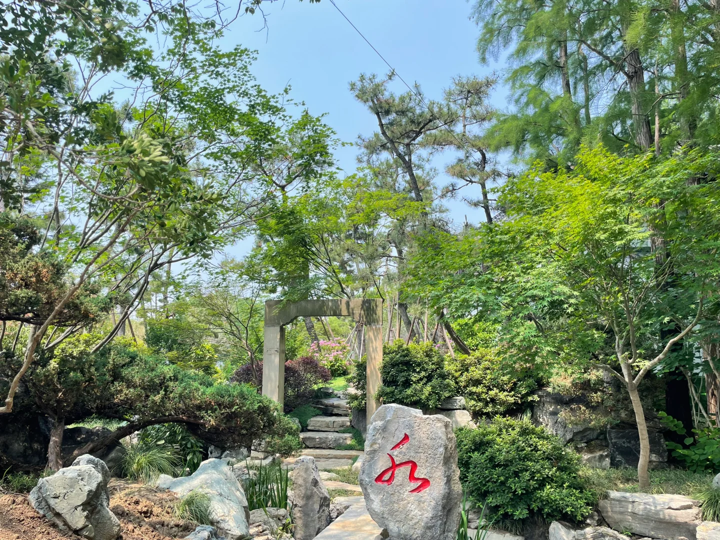 摇人《带货主播》
