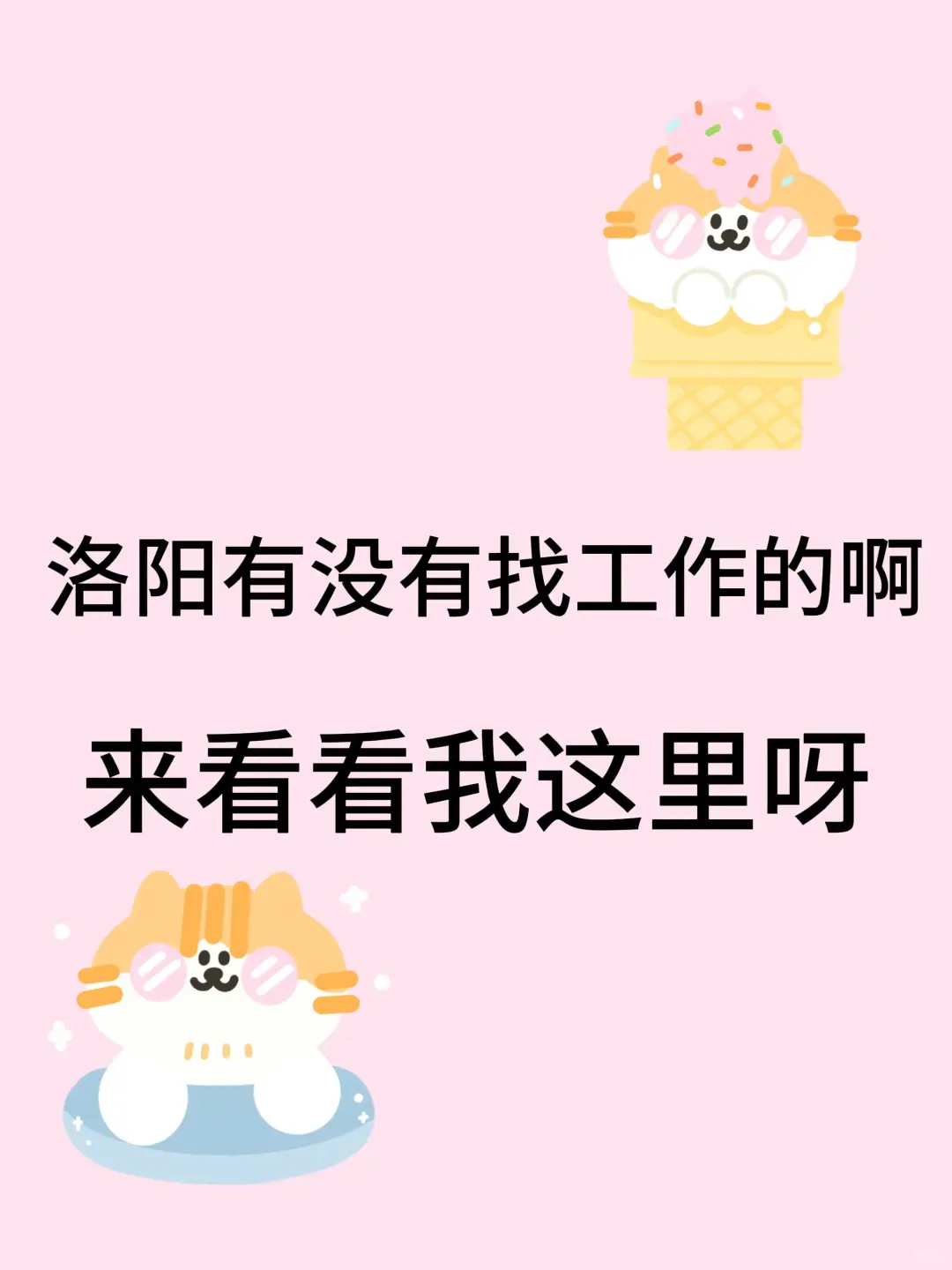 真的能在洛阳找到工作