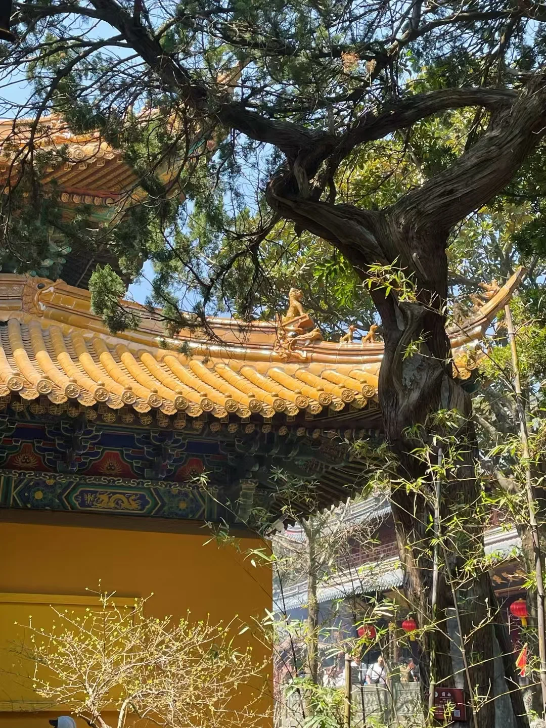 靠譜全職工作招人