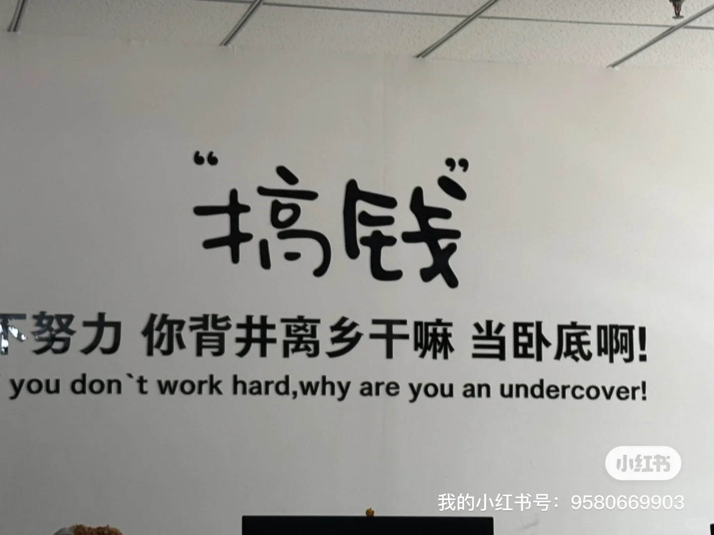 伽兴传媒公司招人啦