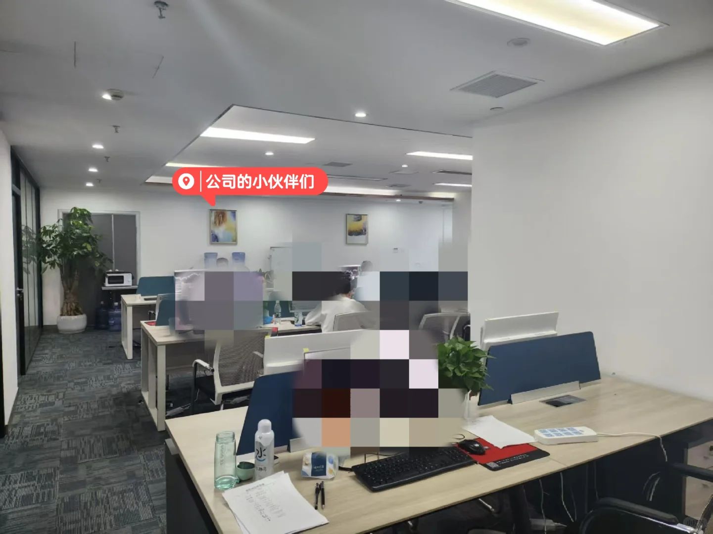 00后新创公司招人啦!!