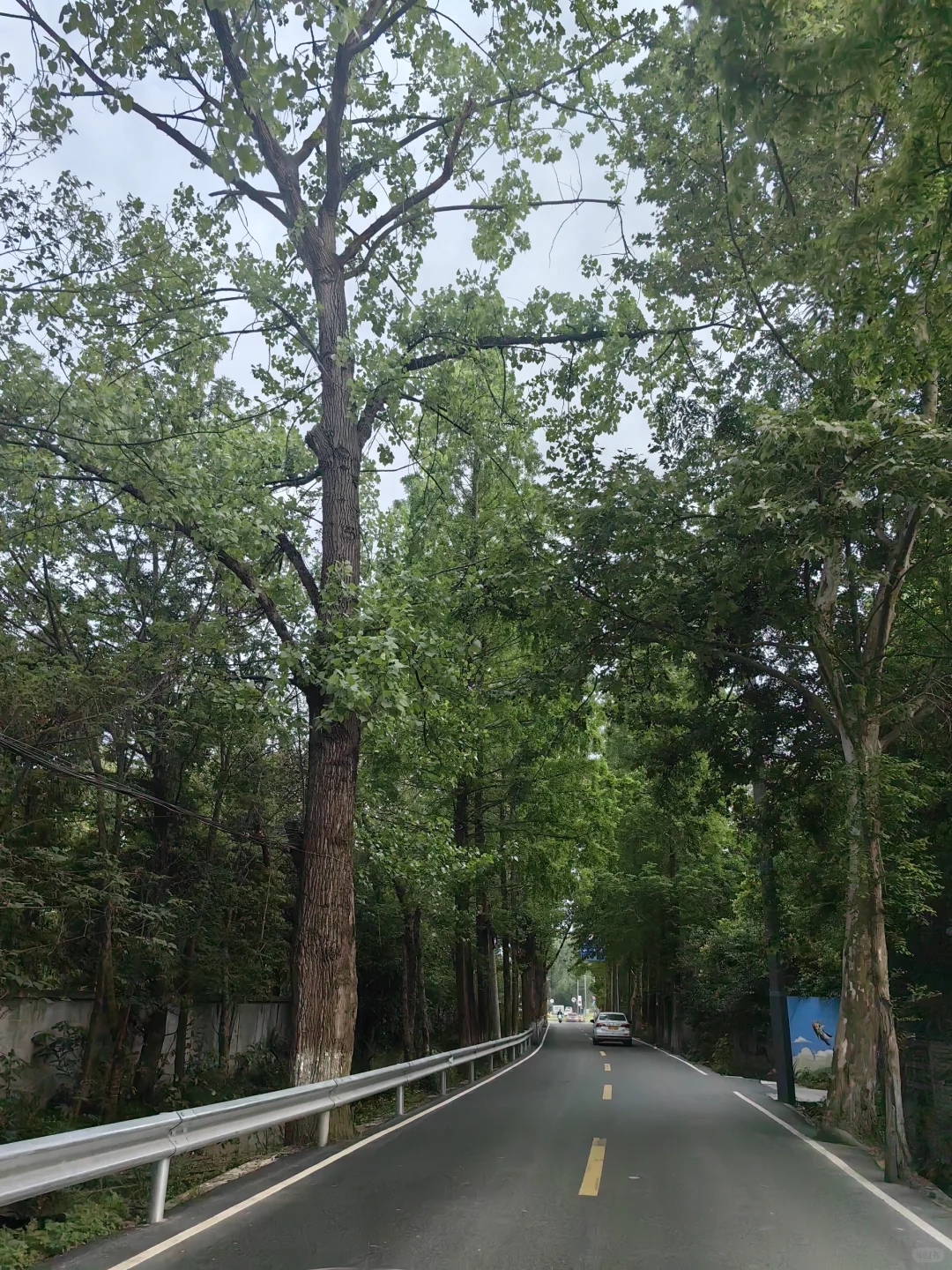 温江柳城工作推荐(负责公司客服岗位招聘)