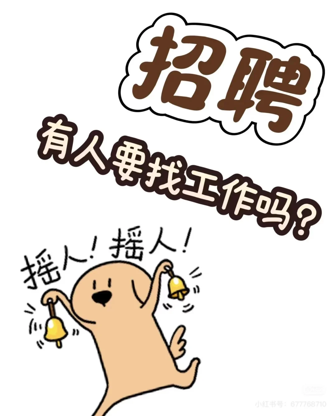 招聘!!快看過來!