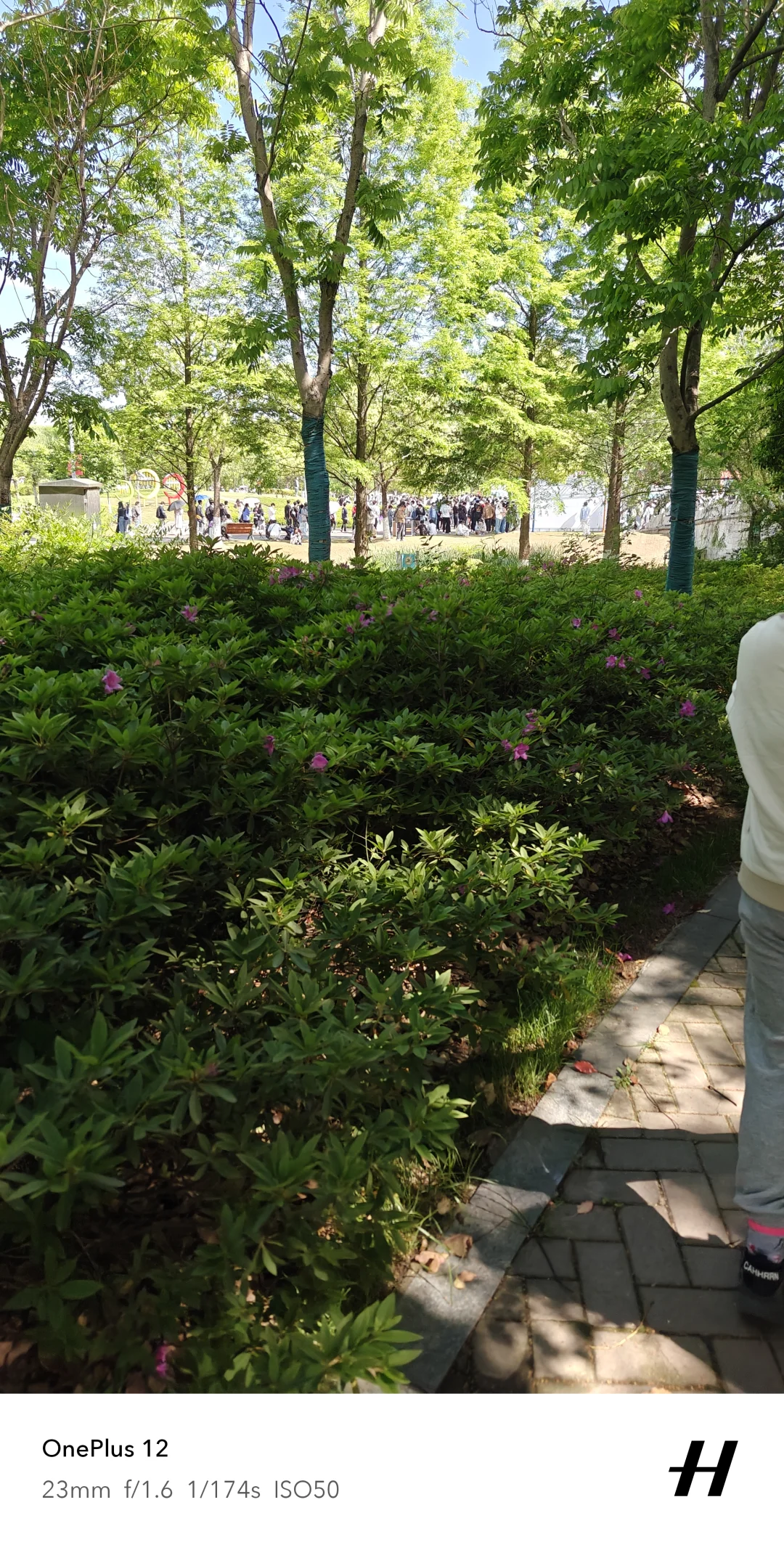 芜湖人才招聘终于签完到了