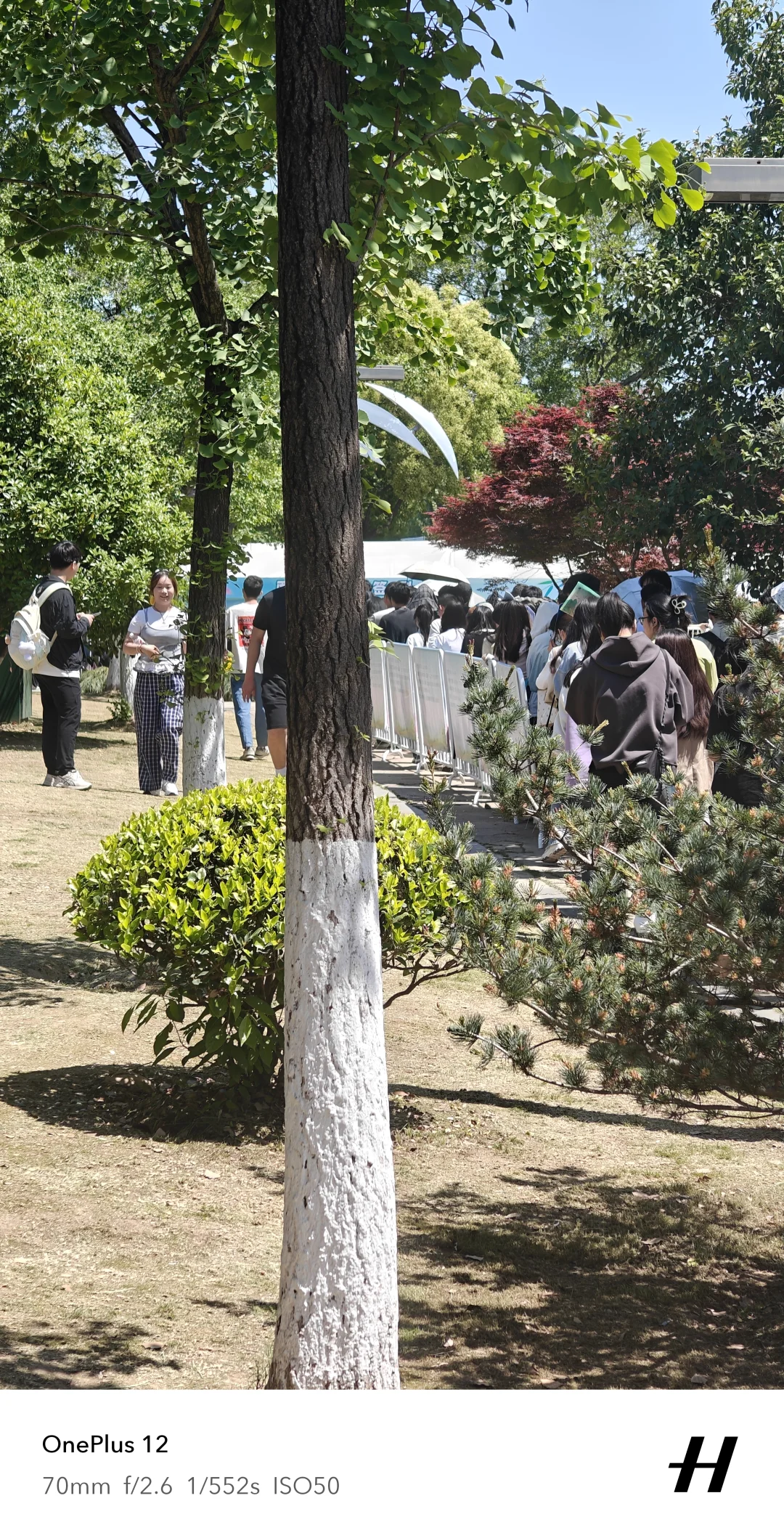 芜湖人才招聘终于签完到了
