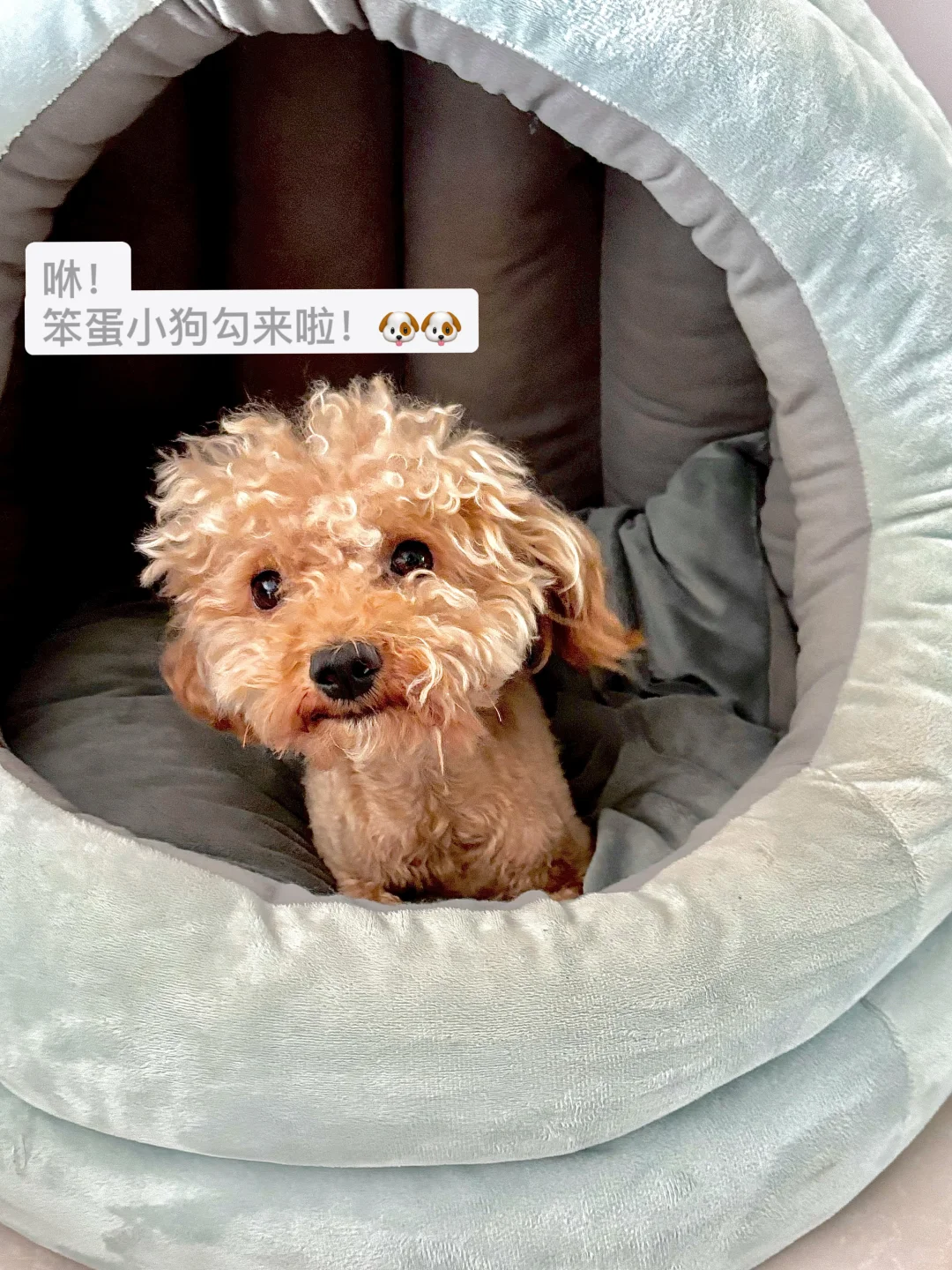 00后體制內|月薪6k|窮但穩(wěn)定的小日子