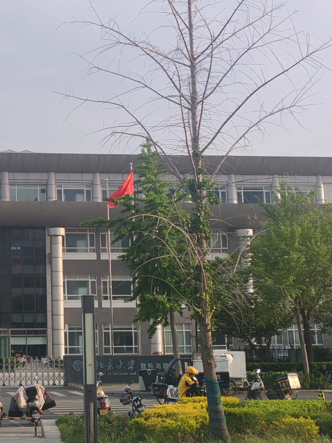 直到毕业才意识到应当尽早“转码”而非IC