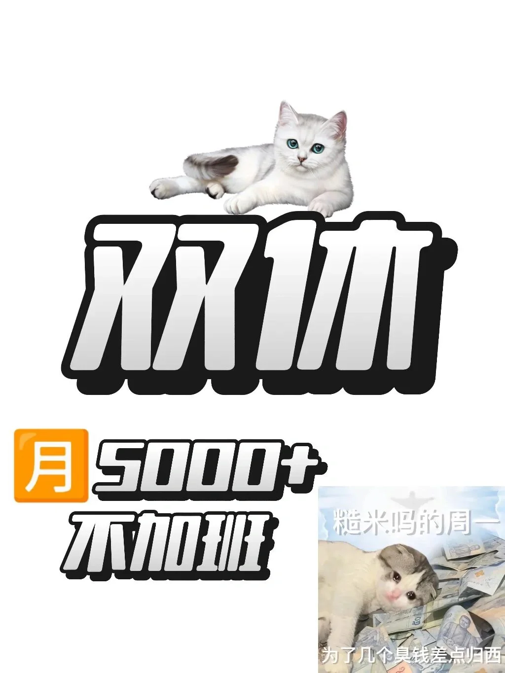 我的員工都在哪里??