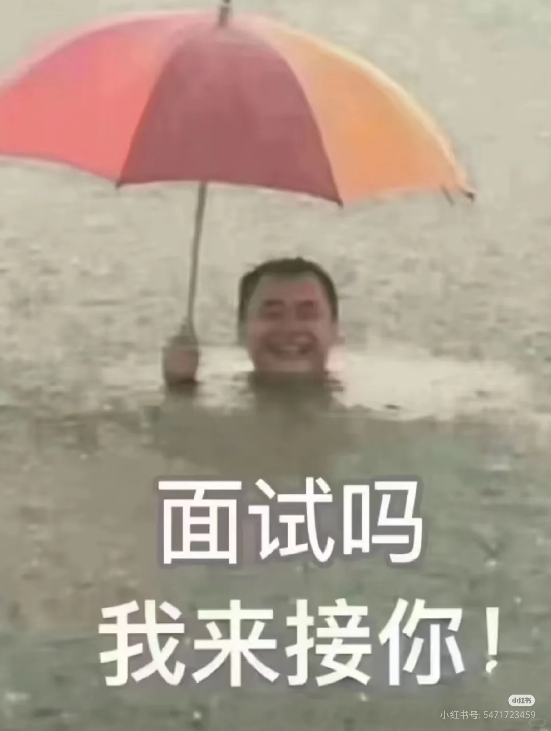 招人！！你别走！！就是你！！进来看看！！