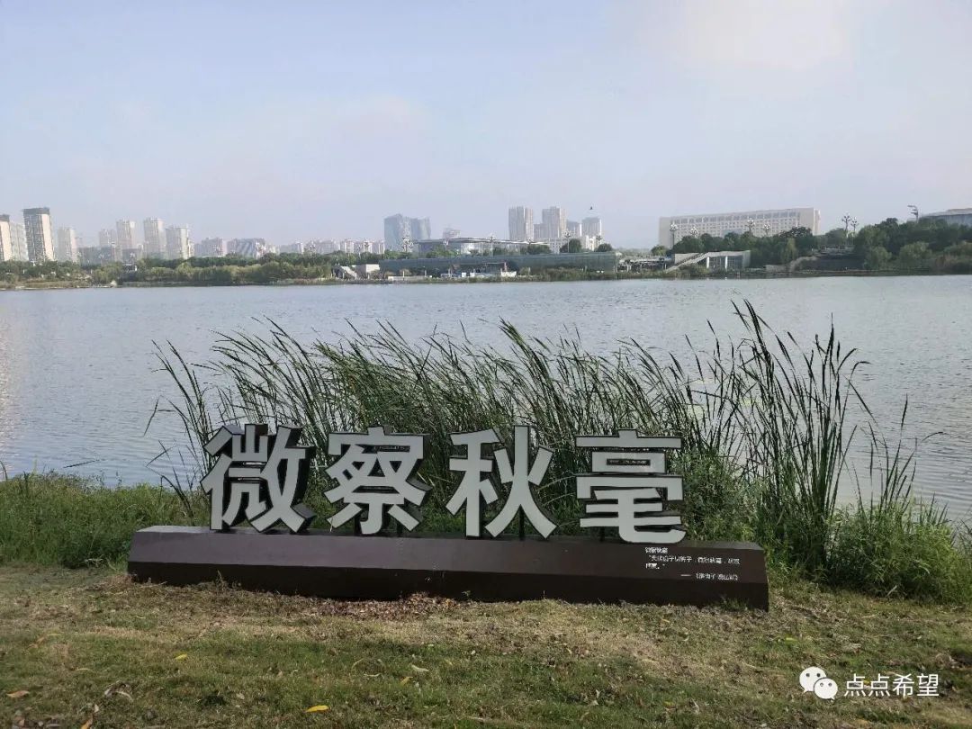 近期二手房迎来加速抛售潮!