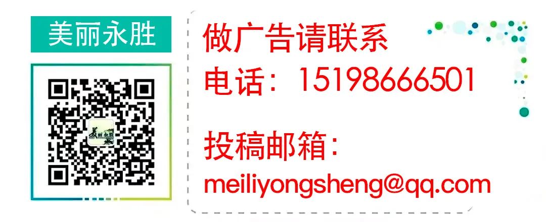 永胜精品房源(782期)