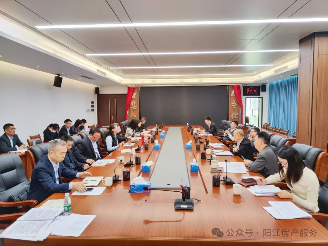 阳江市第一批4个项目列入房地产项目融资需求“白名单”