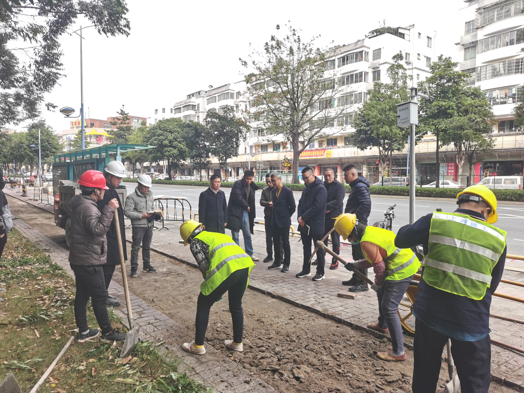 番禺区住房和城乡建设局以“绣花功夫”培育典型镇