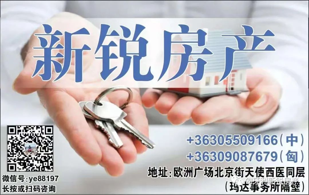 【新锐·房产】出租 | 13区 1室1厅新式精装公寓 位处Marina 小区