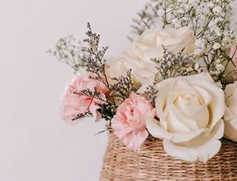 速藏~女性专属节日,版纳购房攻略