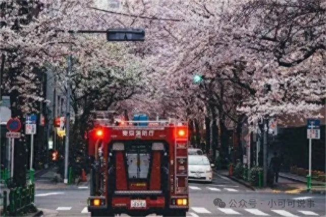 舅舅求我为表弟担保买房,赶去签字时听到表弟谈话,我拔腿就跑!