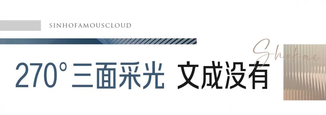 逆天!文成唯一向日葵热销户型,得房率超90%,此后再难有!