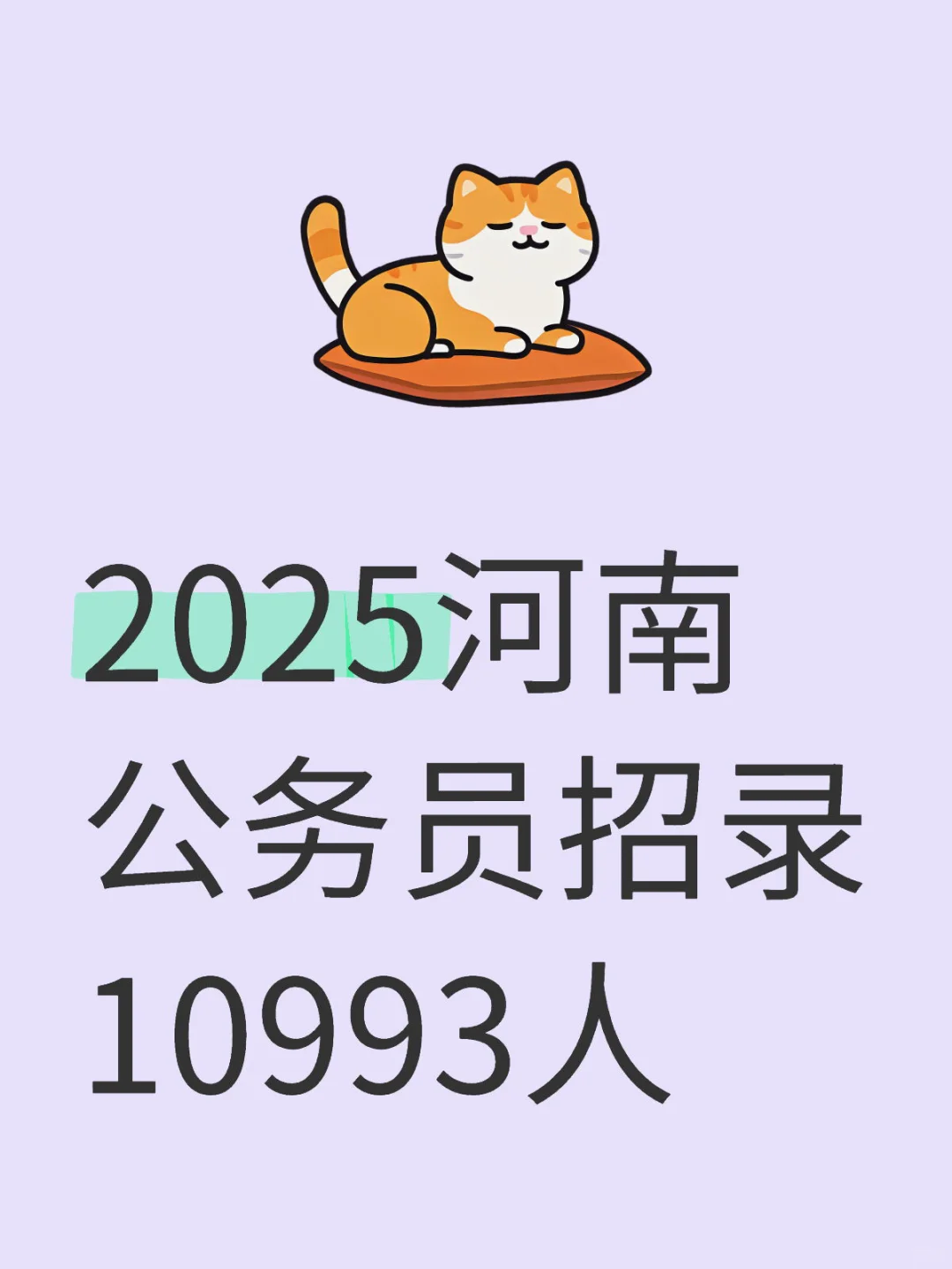 2025河南公务员招录10993人