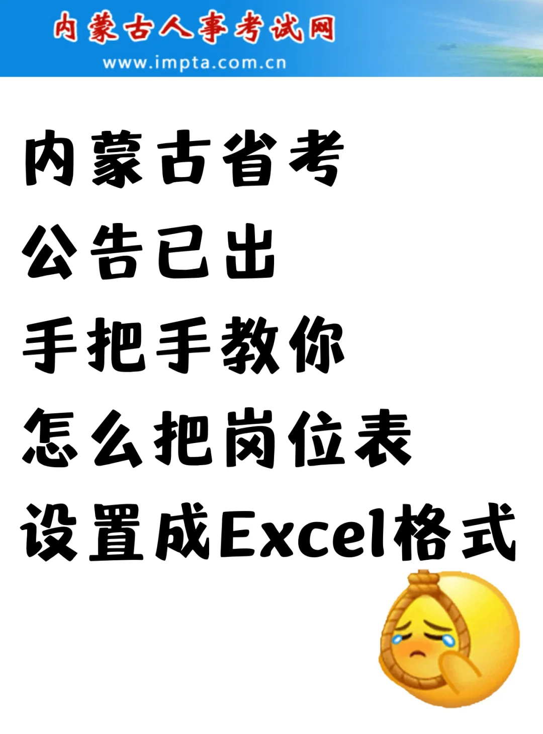 内蒙古省考公手把手教岗位表导出为表格格式