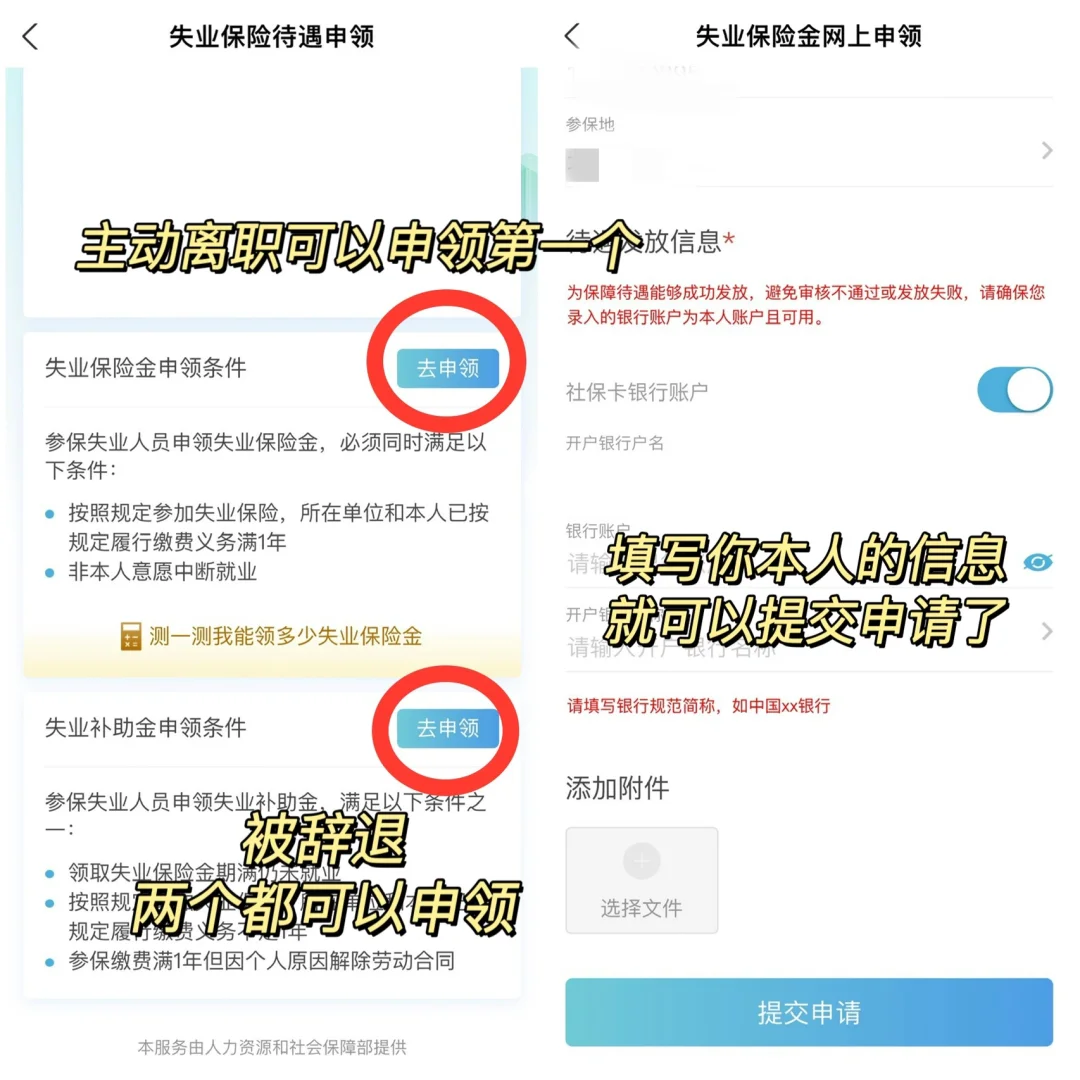 主动辞职还能领失业补贴‼️裸辞后的第一件事