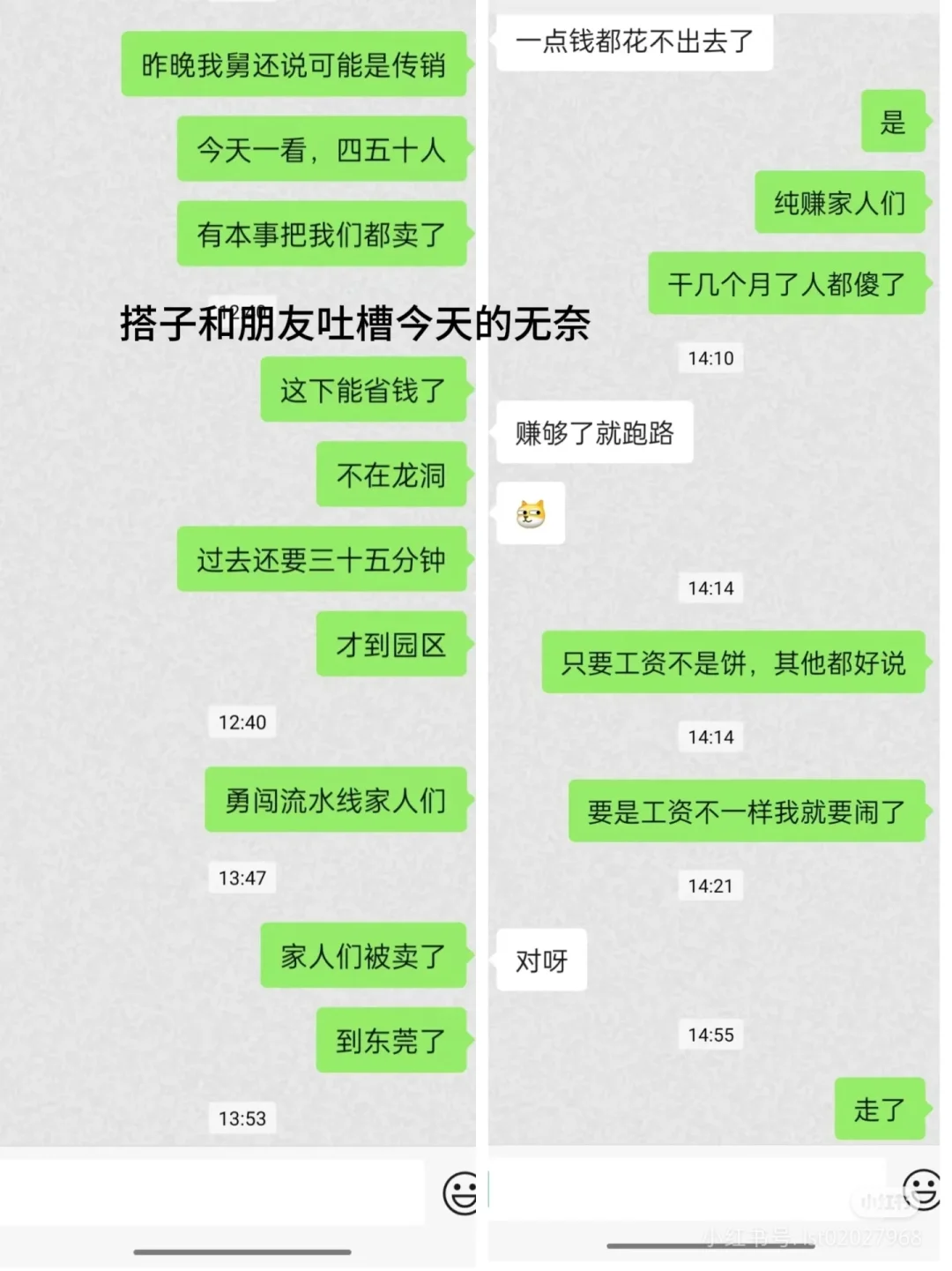 避雷了，铁汁们