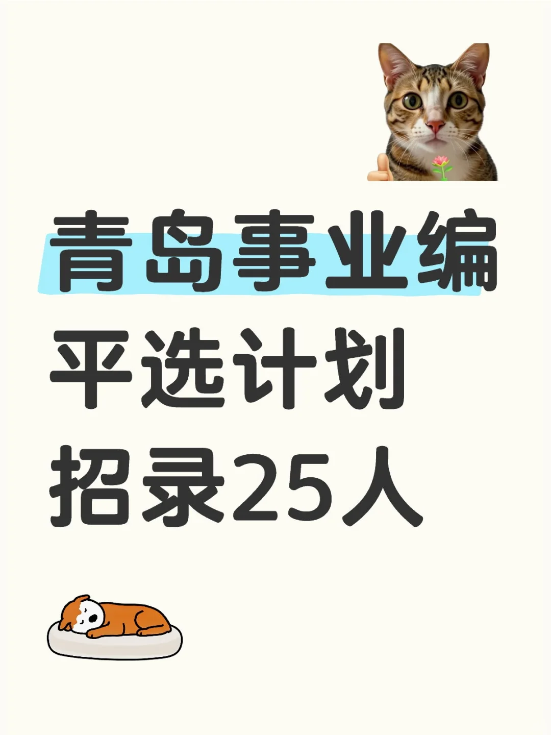 明日开始报名❗青岛事业编招录25人