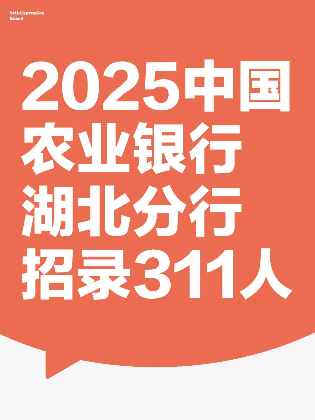 2025中国农业银行湖北分行招录311人