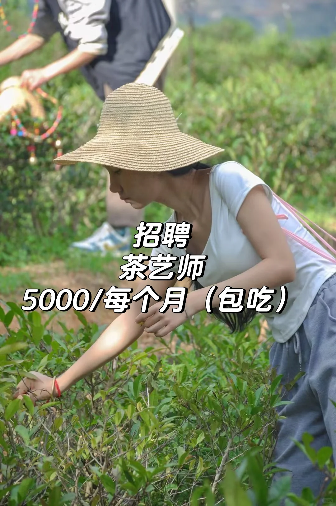 昆明西山区招聘茶艺师5k每个月